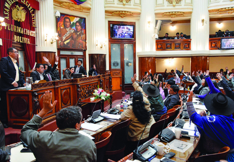 Aprobación de la nueva Ley del Cine Boliviano en la Asamblea Legislativa Plurinacional. © Página Siete.