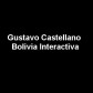 Gustavo Castellano Bolivia Interactiva