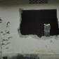 Un asunto de tierras