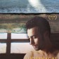 luciernagas001