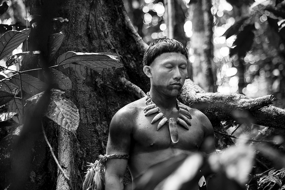 El abrazo de la serpiente', el corazón del Amazonas - Programa Ibermedia