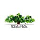 Bellasombra