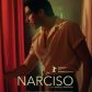 Narciso