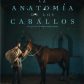 La anatomía de los caballos